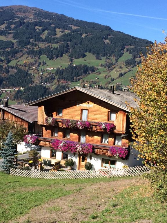 Penzinghof - 4