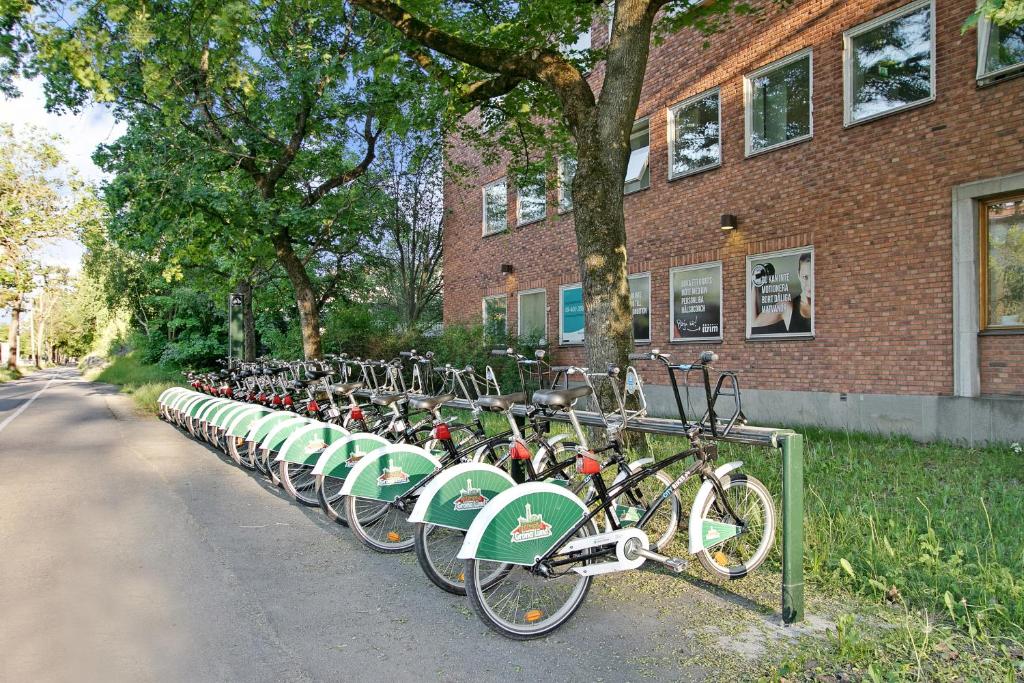 스포츠&체험활동