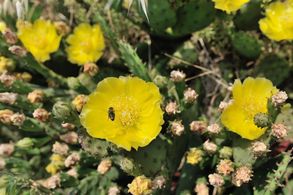 Apartman Svilno, Rijeka