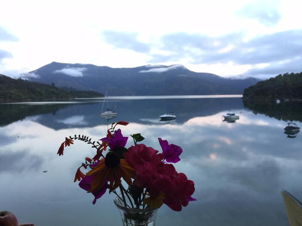 Te Mahia Bay Resort photo