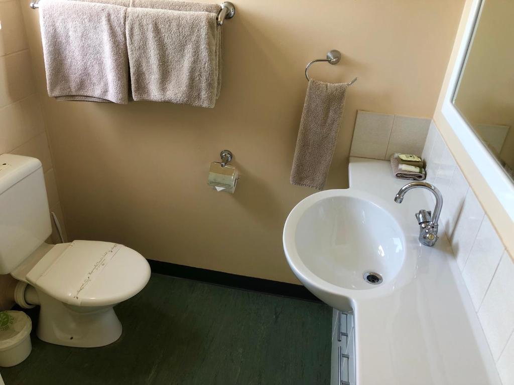 Sheffield Motor Inn photo