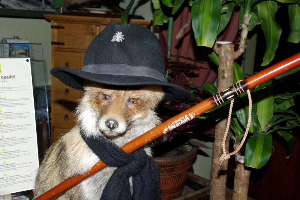Le Marbore photo