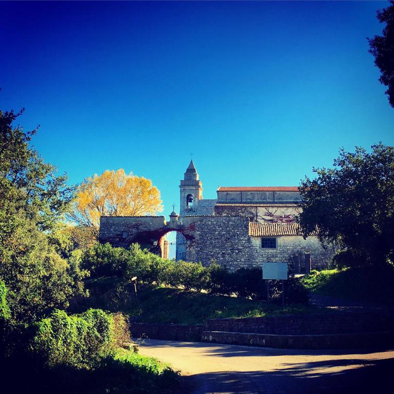 Abbazia Santa Maria del Bosco photo