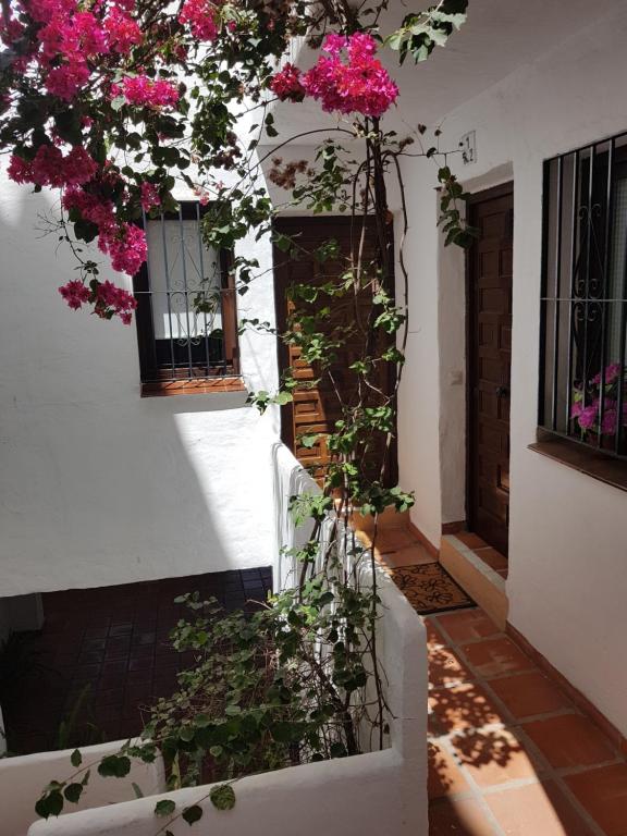 Estudio Pueblo Evita 133 - 2