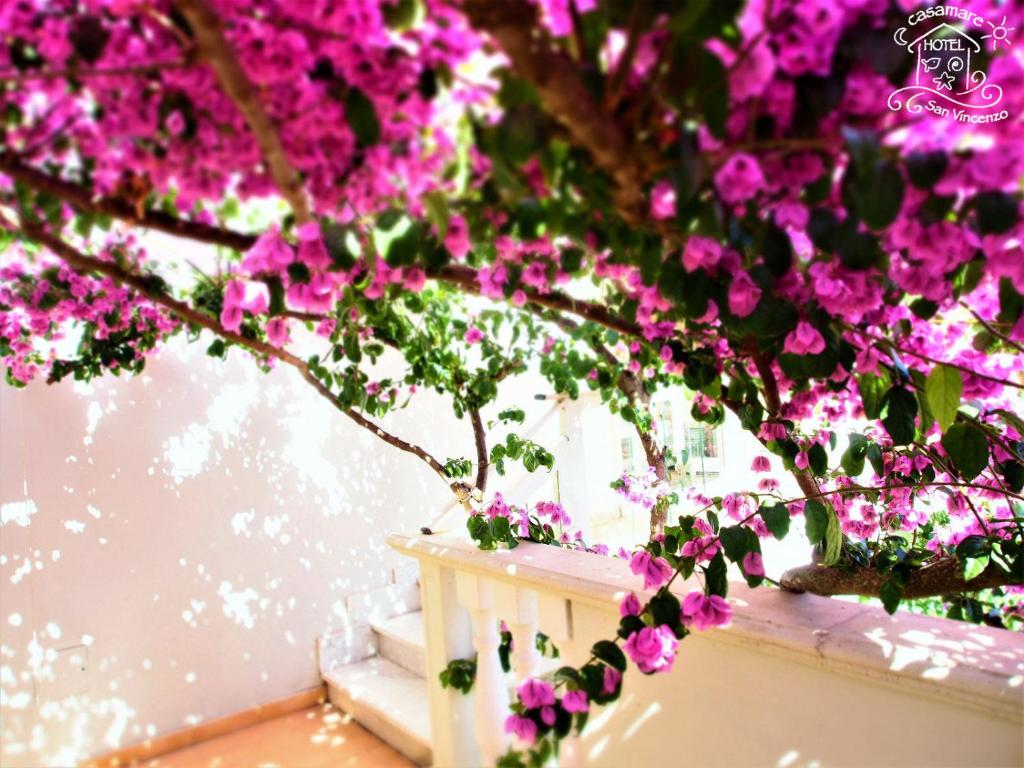 Casamare Hotel — Hotel in San Vincenzo