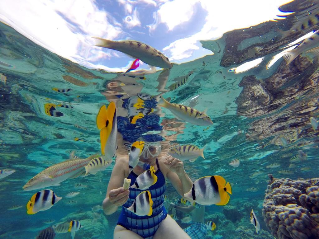 Sports and activities