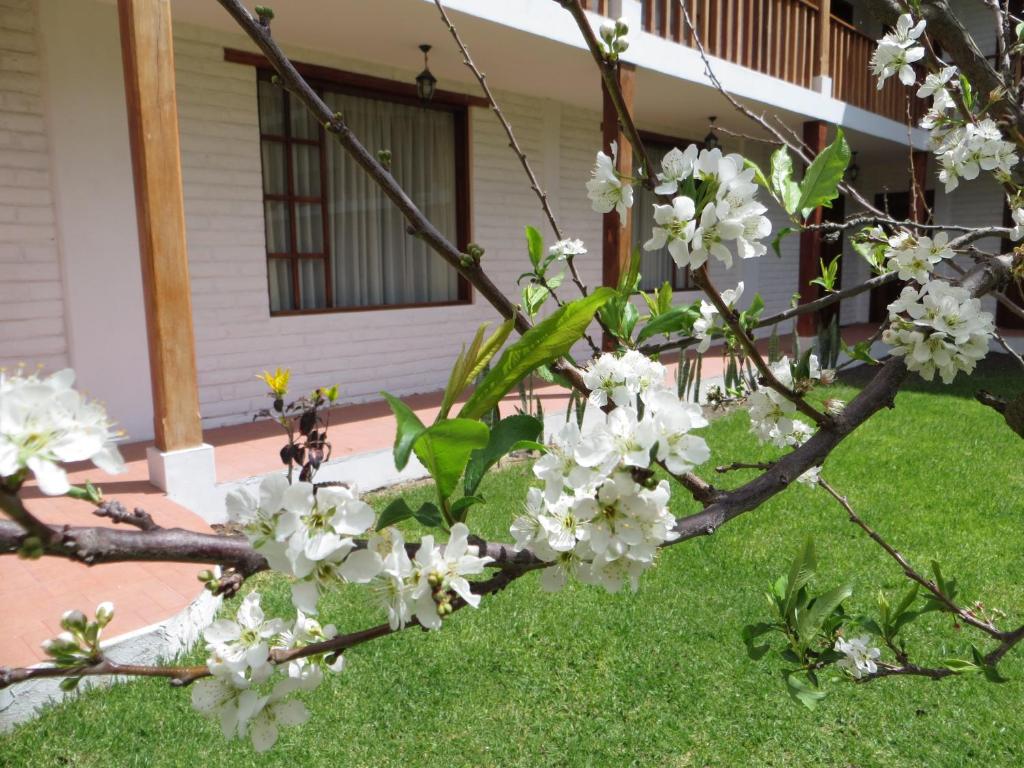 Jardín