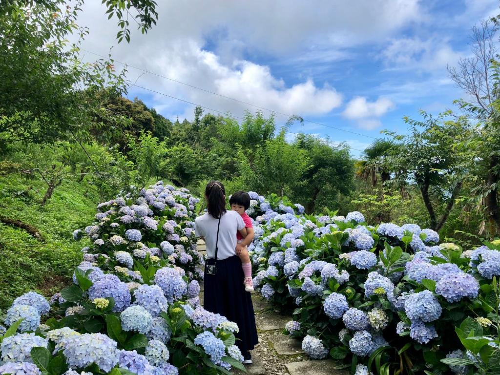 Qingshan Homestay