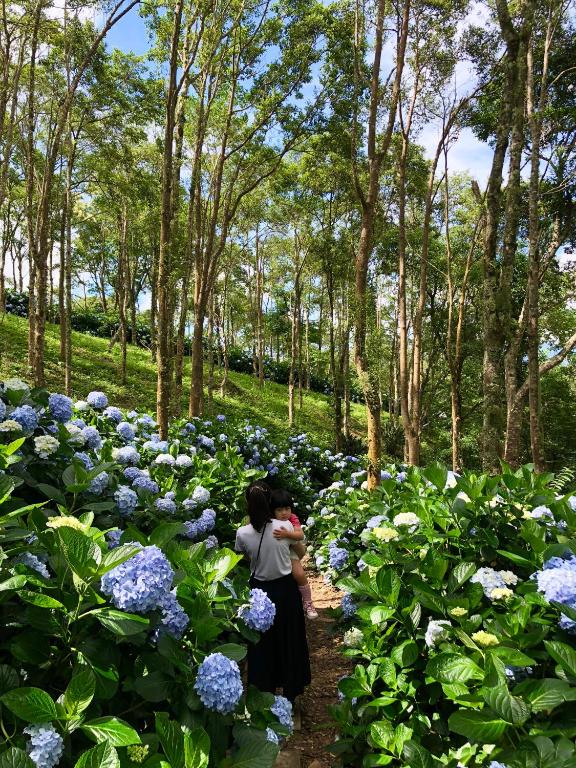 Qingshan Homestay 호텔 이미지 2