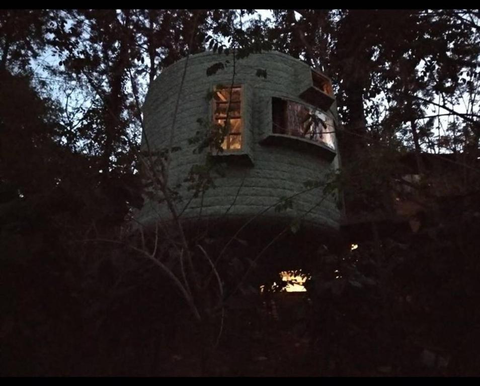 Unique capsule living surrounded by coffee and pepper plantation
