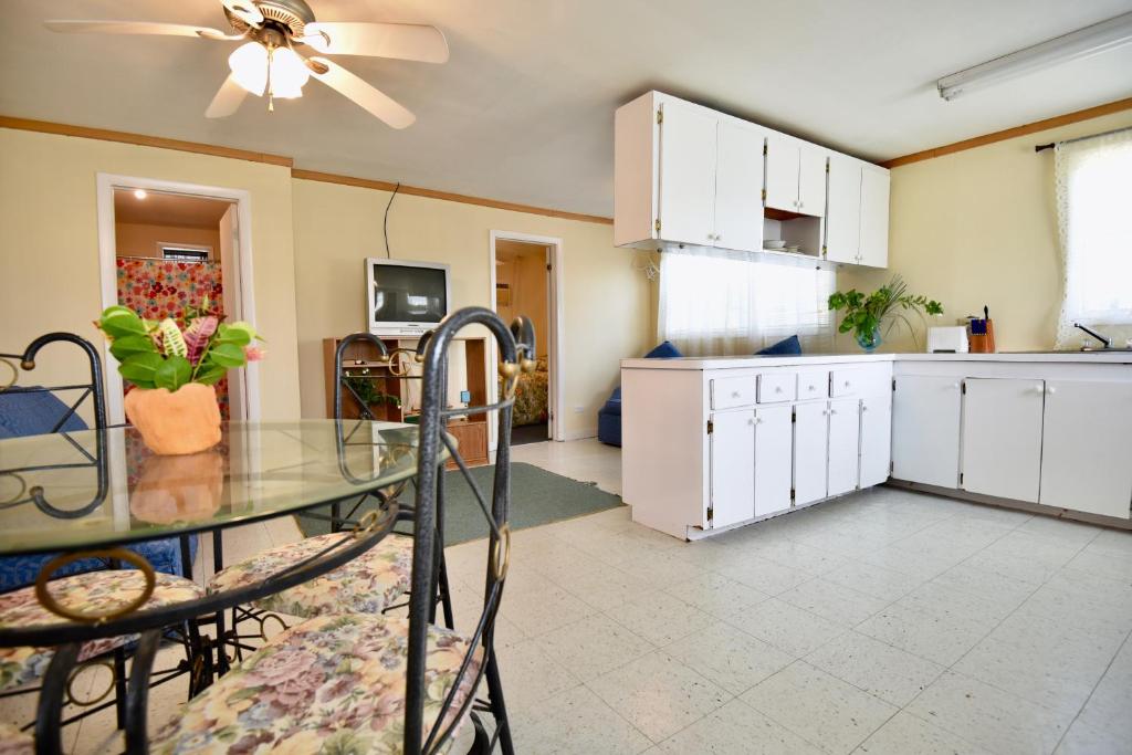 해변 액티비티 이미지 2