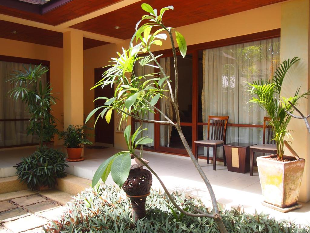 Summer Inn photo