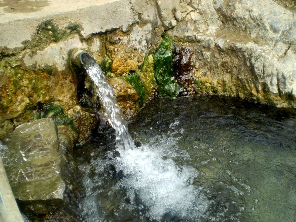 Guest House Vila Banjica photo
