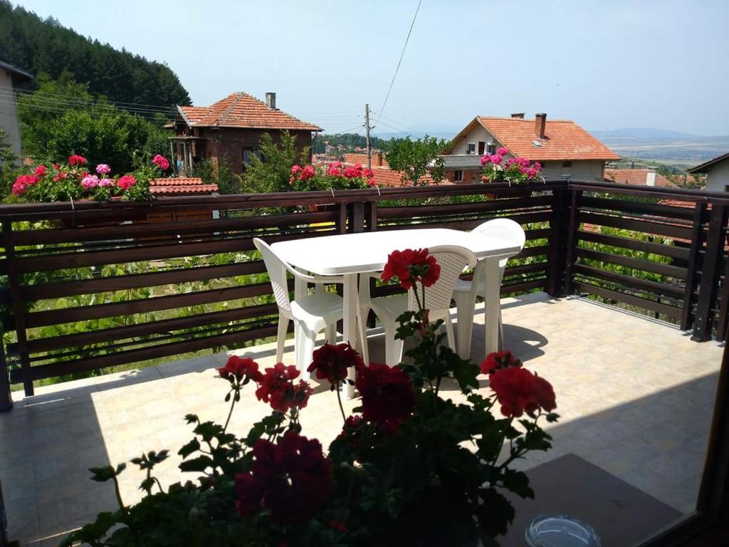 Kavdanski Guesthouse photo