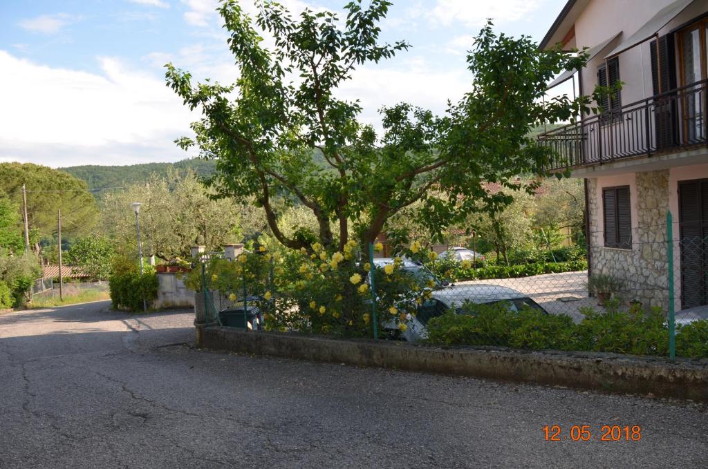 Patrizia Boldrini, Perugia