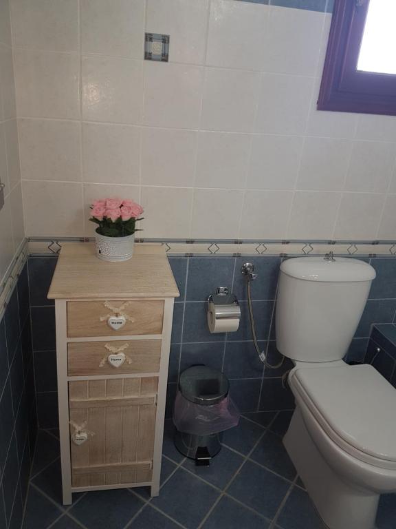 Santorini Family Apartments photo