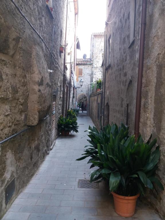 La Piazzetta - 4