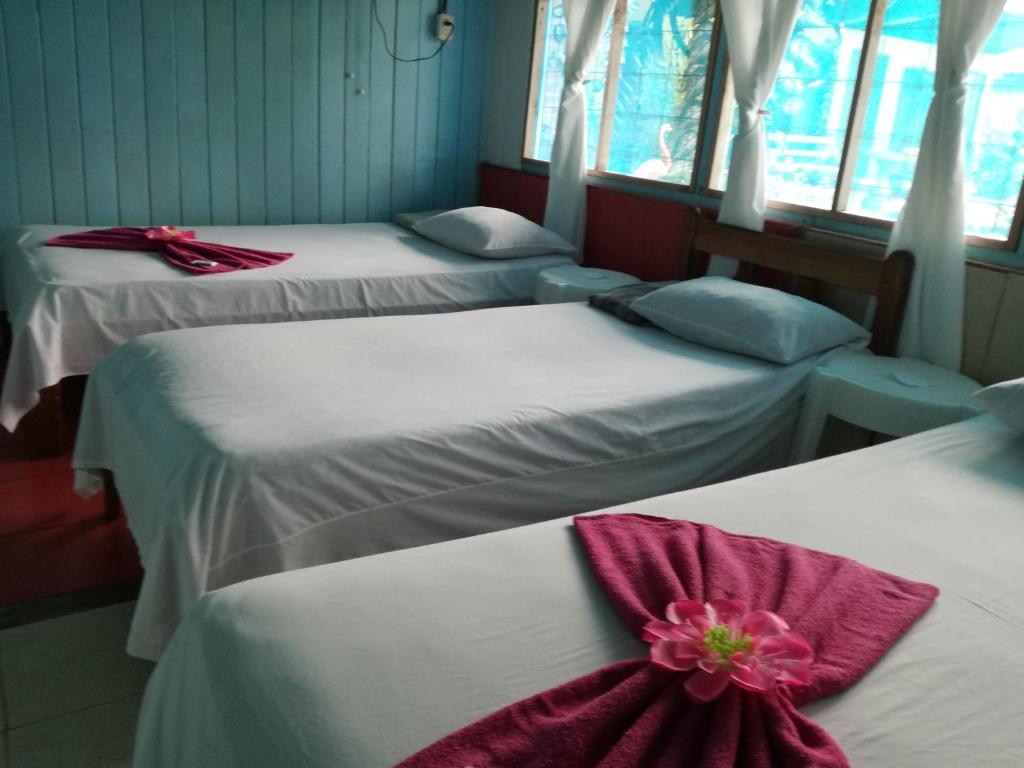 Hotel Margarita Sierpe photo