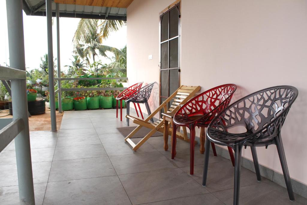 Homested Homestay photo