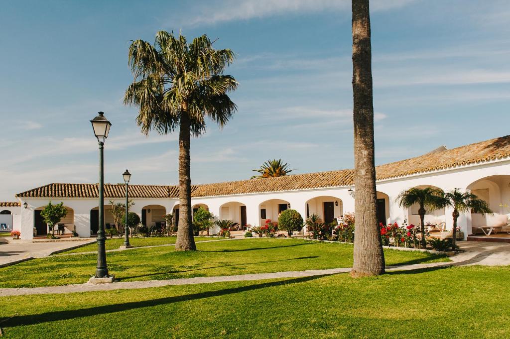 La Codorniz photo
