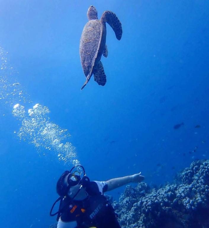 Sport és szabadidő