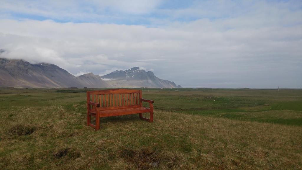 Surrounding environment