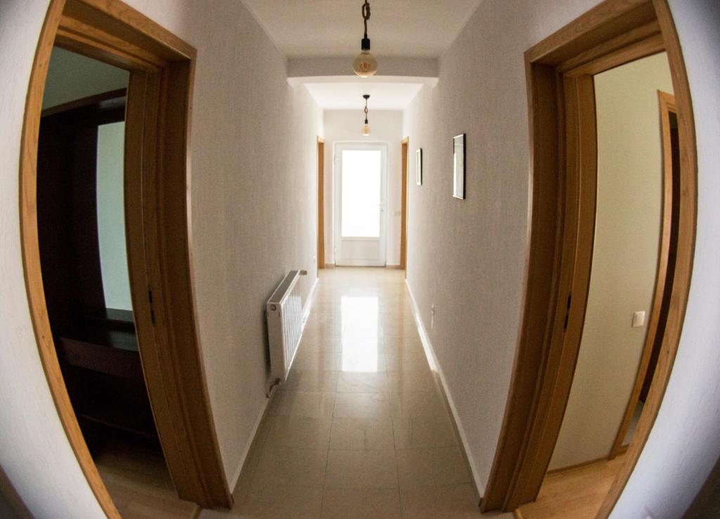Vila Raluca photo