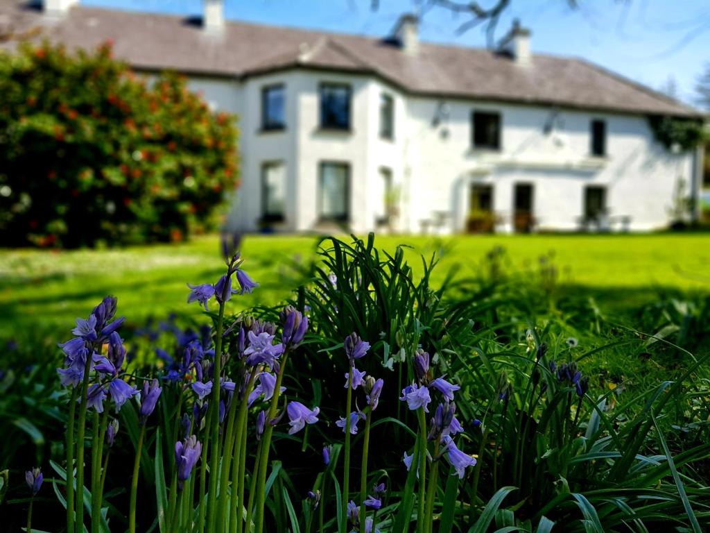The Glenbeigh Hotel photo