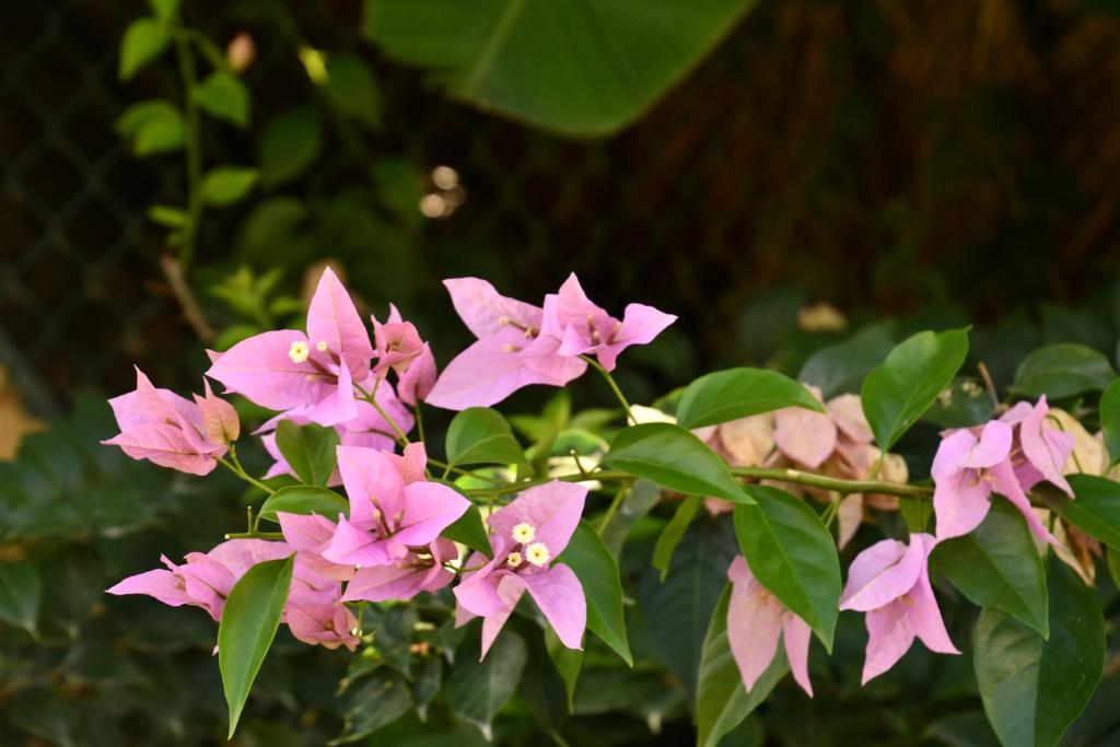 Surrounding environment