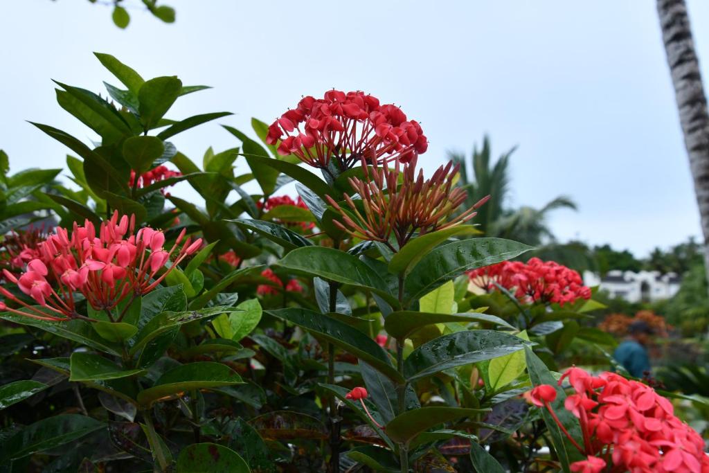 Surrounding environment