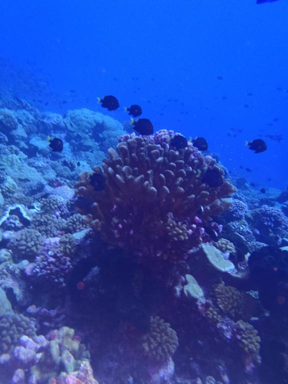 Sports and activities