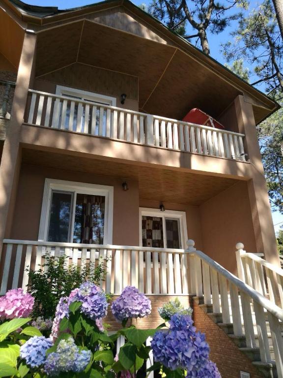 Грузия григолети Грузия григолети