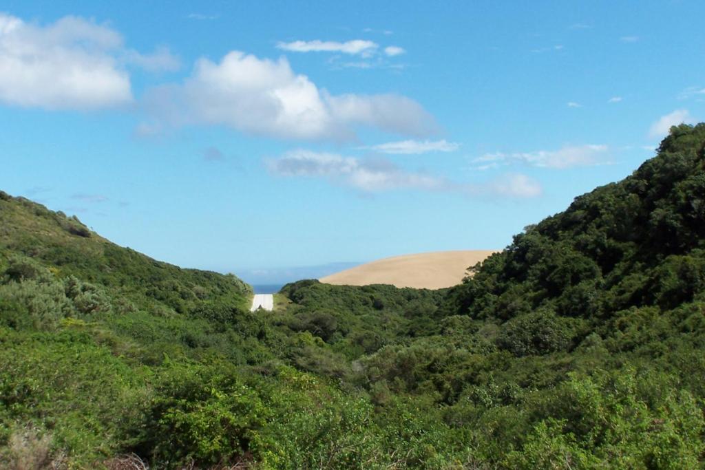 Thunzi Bush Lodge photo