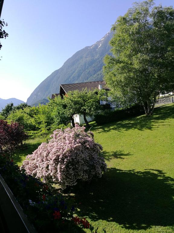 Gästepension Wiesenheim - 3