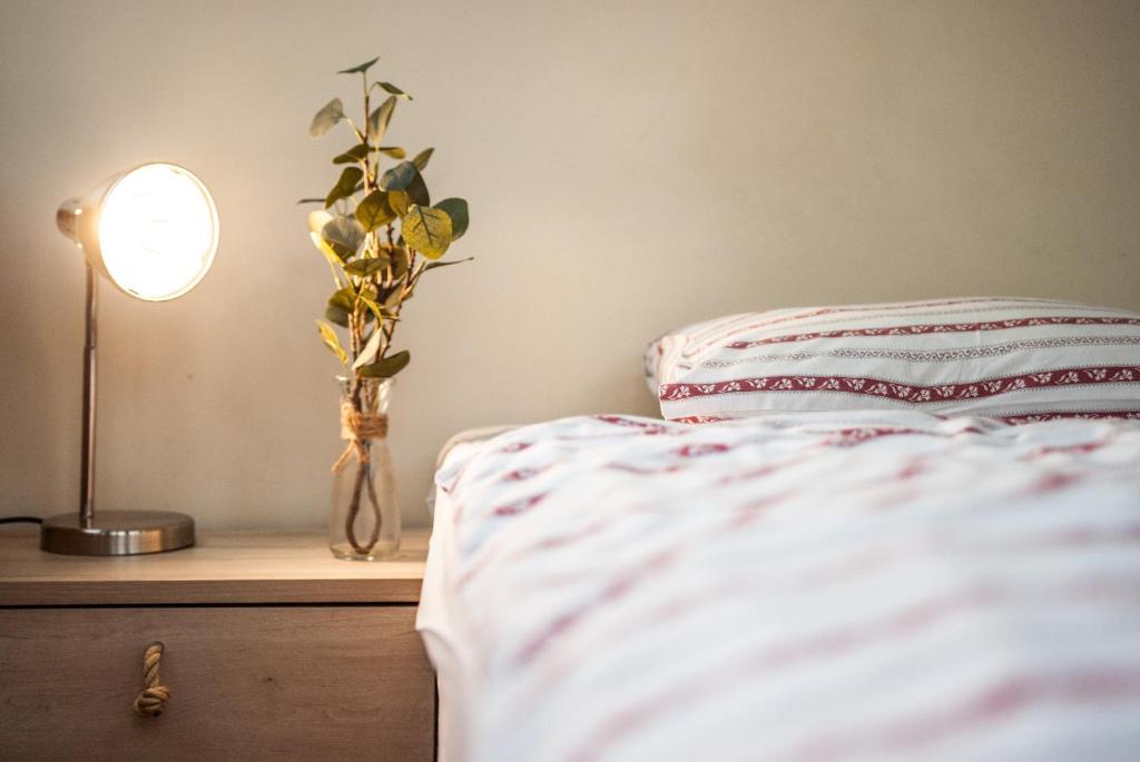 Gimnazjalna 5 - Apartamenty i pokoje w Centrum Zakopanego photo