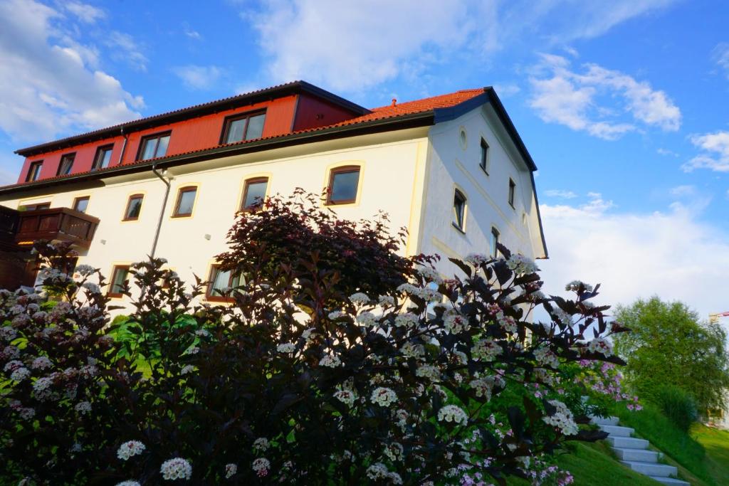 Appartementhaus Fritz-Rosenkranz - 1