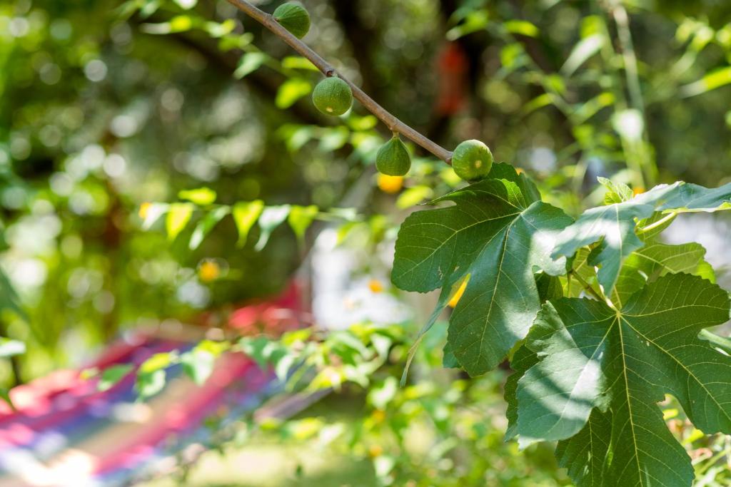 City View Apartment - 4