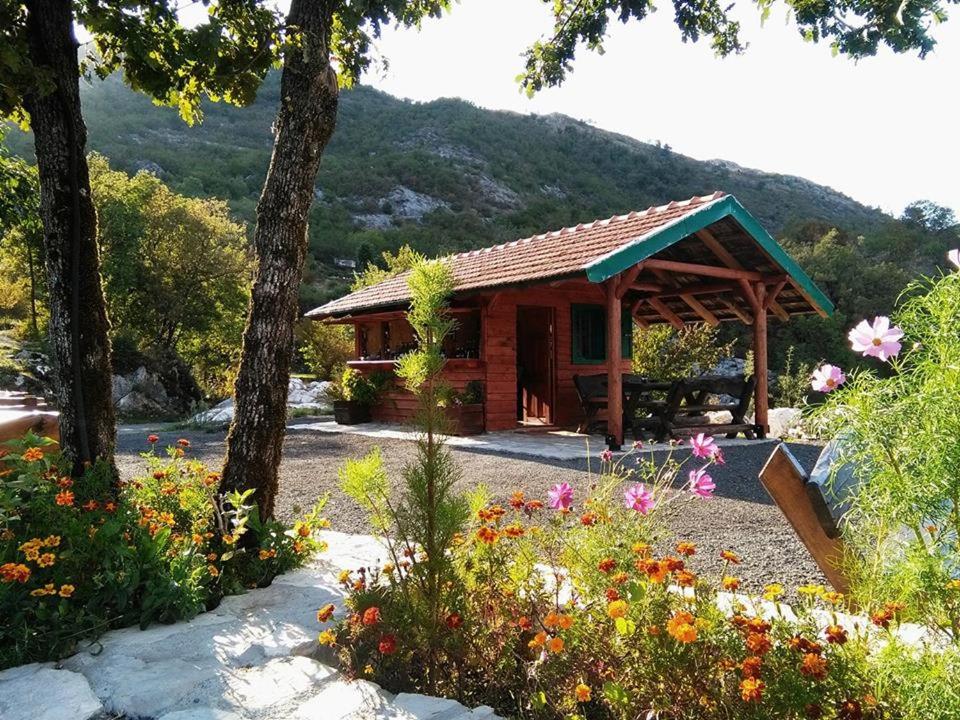 Camp Oaza,Lipa — Hotel in Cetinje