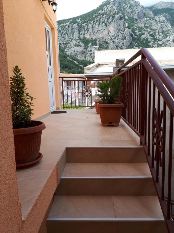 Apartments Vitic photo