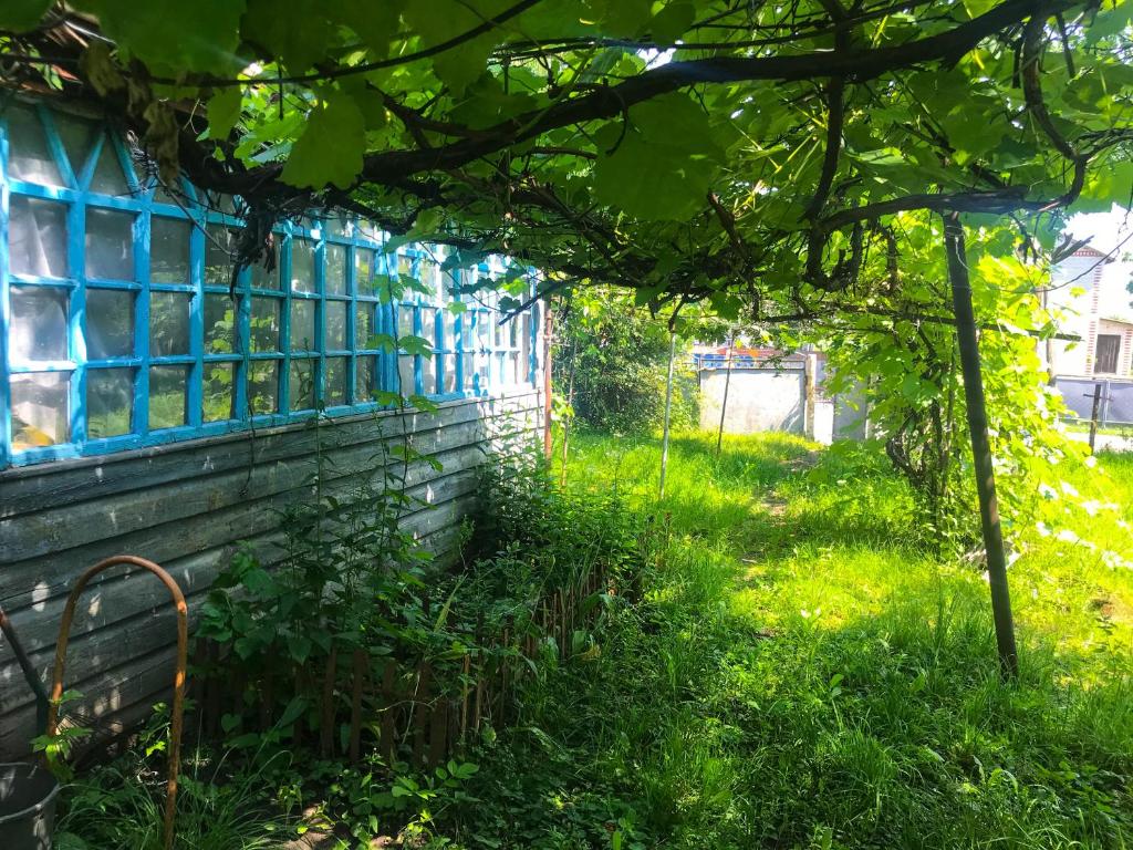 Agrosadiba, Opishnya