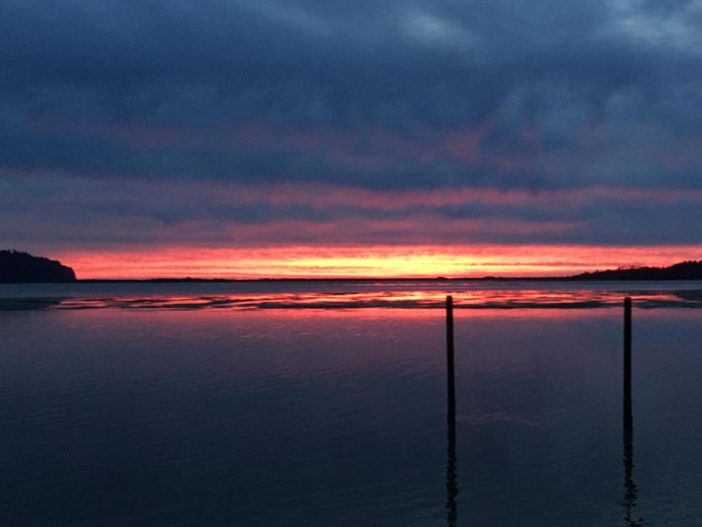 Tillamook Bay City RV Park photo