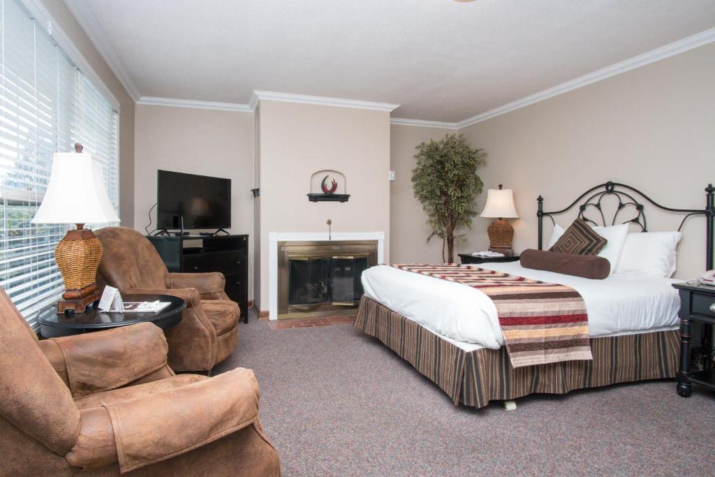 에콜라 크릭 로지