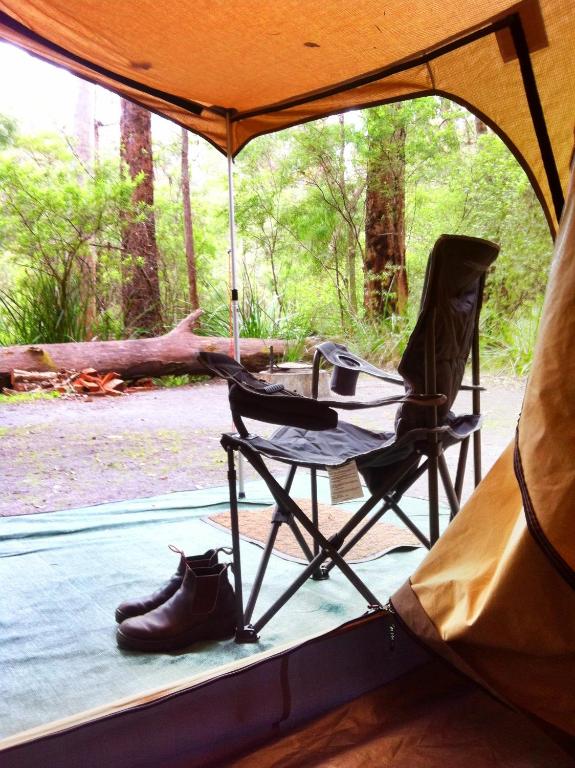WA Wilderness - one step from nature photo