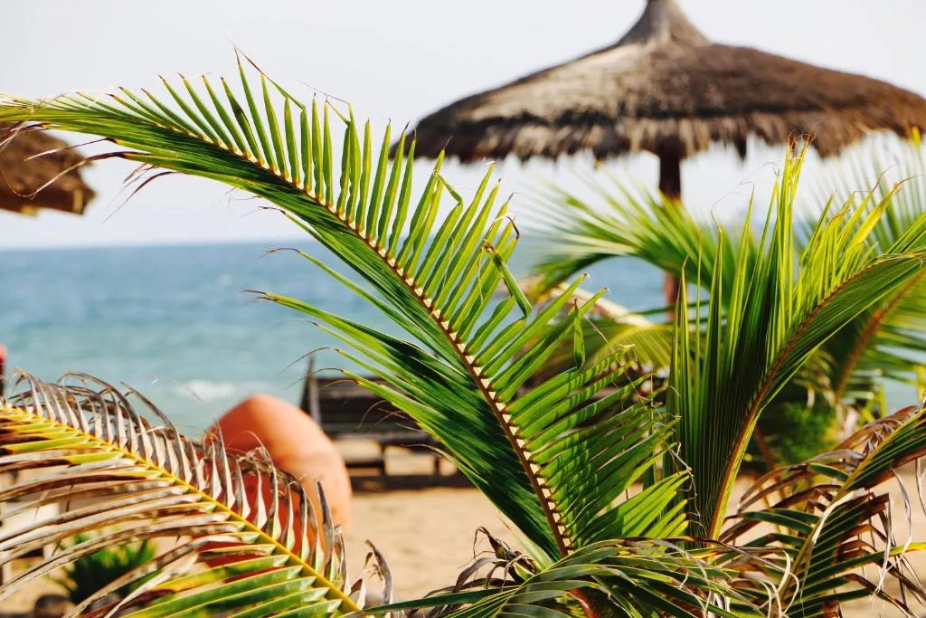 Pure Plage, hotel in Lomé