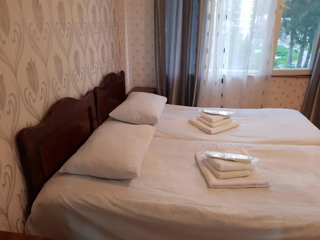 Hotel Lizi photo