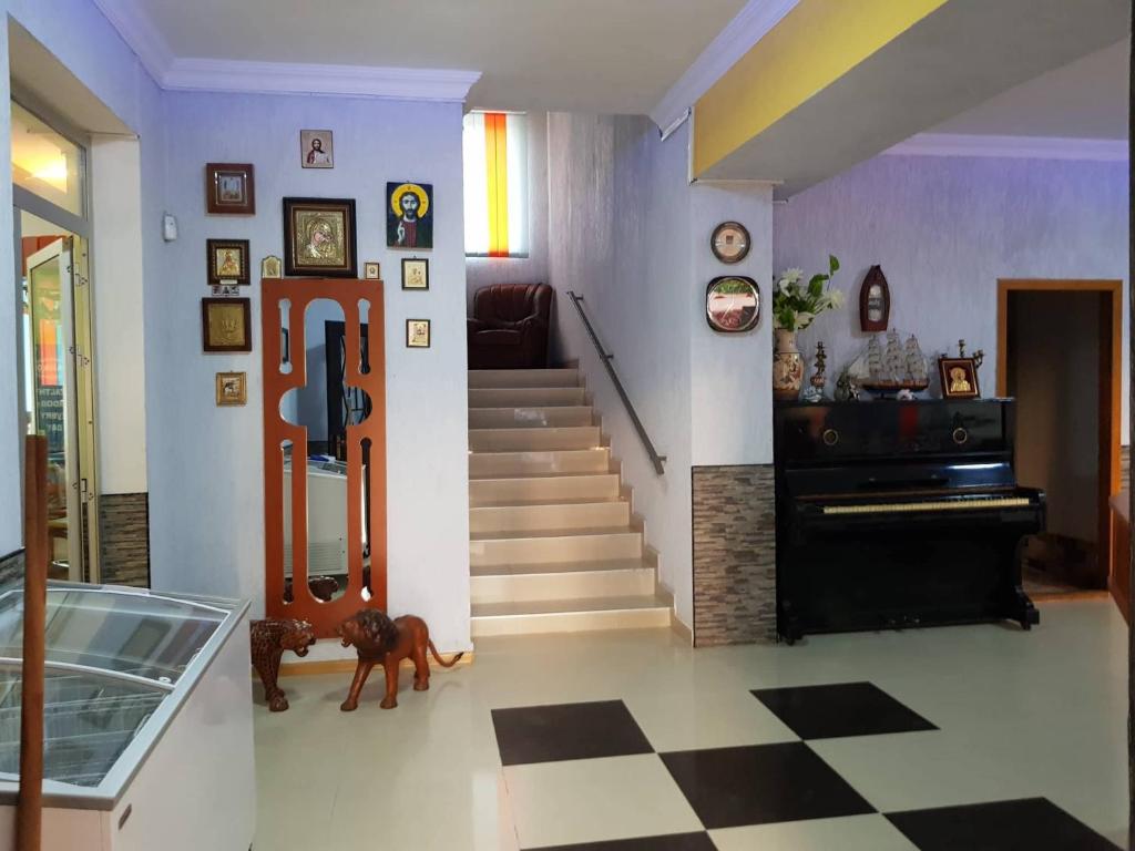 Hotel Lizi photo