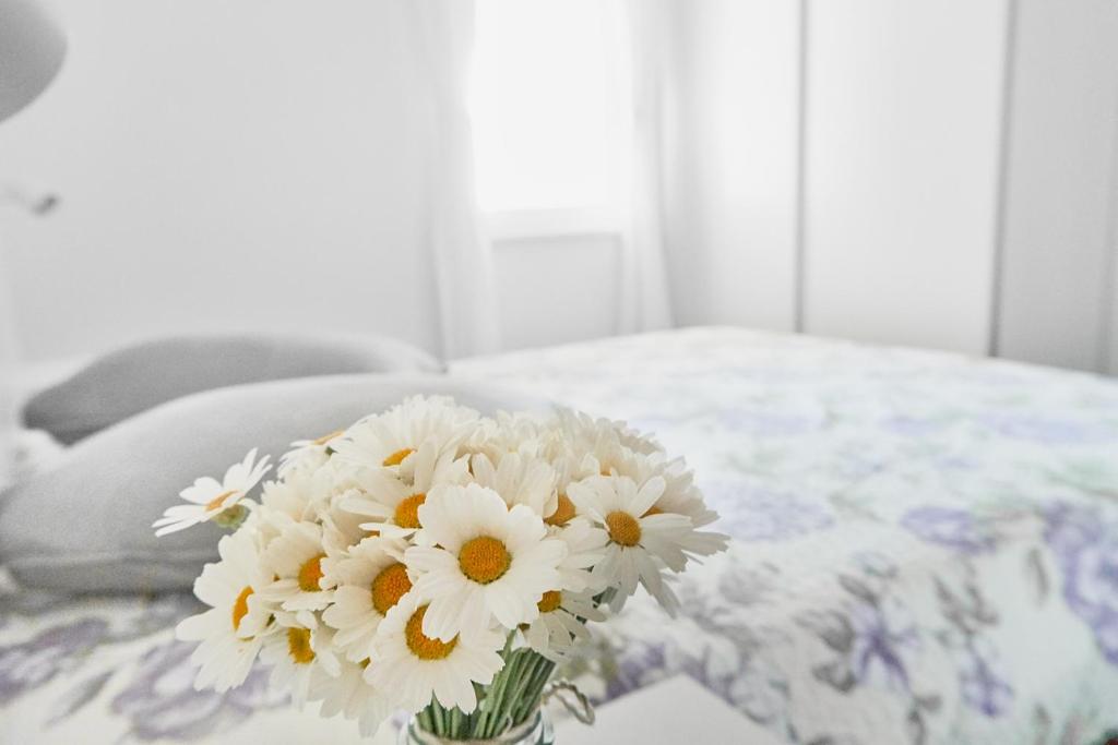 STARA GAVZA - bungalows , apartments photo