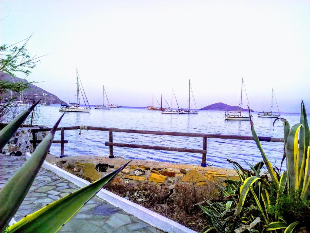 Paradisso Studios photo