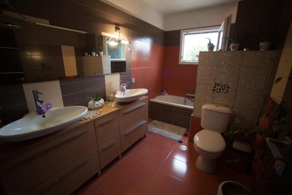 Dada House photo