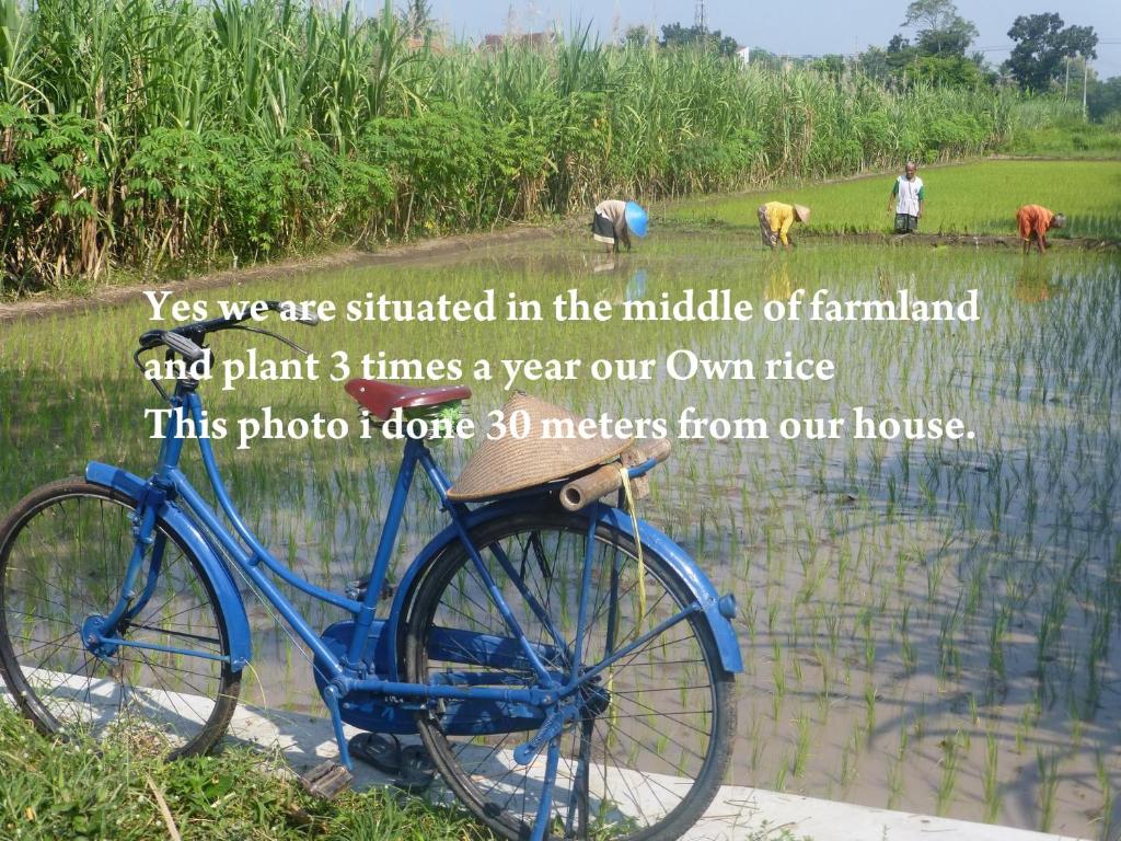 アクティビティ